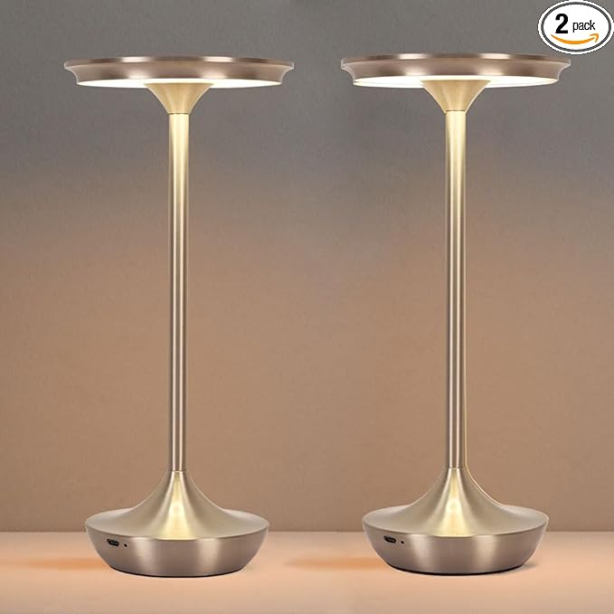 EJQ Cordless Table Lamp Rechargeable, 6000mAh Battery Operated LED Table Lights Outdoor Portable Touch Dimmable Table Lamp for Bedroom Patio Cofee Restaurant Dining Home Set of 2-Silver