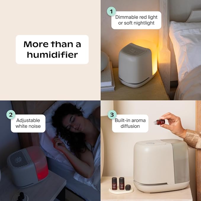 Canopy Bedside Humidifier 2.0, White, 36 HR Run Time, 2.5L Capacity - Reading Light & White Noise - Alleviate Symptoms of Allergies, Flu, Cold, Dry Skin - Humidifier, Filter, Power Cord & Adapter