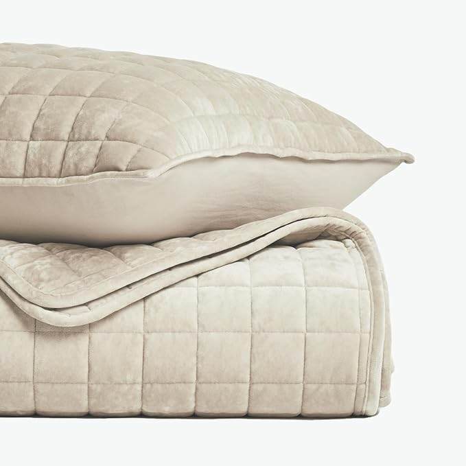 RECYCO Luxury Velvet Quilt Set Full Queen Size Bedding Sets, Ultra Soft Velvet Comforter Set, Lightweight Channel Box Stitch Oversized Bedspread Coverlet for All Season, with 2 Shams, Beige
