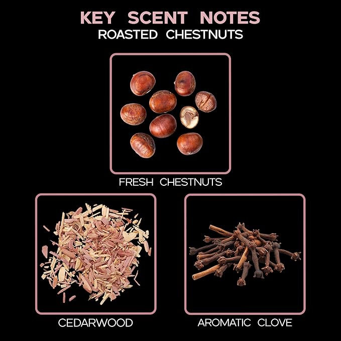 LOVSPA Reed Diffuser Set, Roasted Chestnuts Scented Oil Diffuser with Sticks, Home Fragrance Accessories for Bathroom Shelf Decor, Aroma Diffusers for Home or Office Fall Decor, USA Made