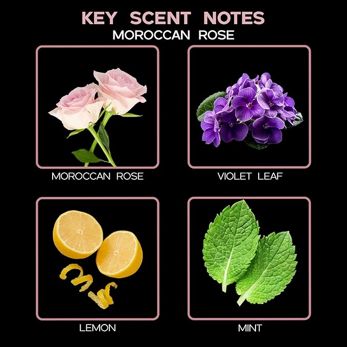 LOVSPA Reed Diffuser Set, Moroccan Rose Scented Oil Diffuser with Sticks, Home Fragrance Accessories for Bathroom Shelf Decor, Aroma Diffusers for Home or Office Desk, USA Made