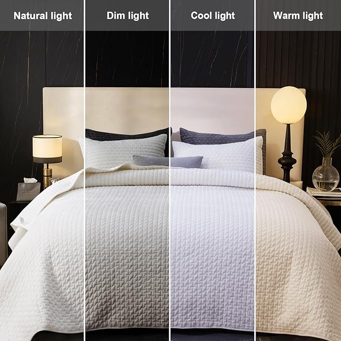 Powdion Velvet Quilt Queen Size, Oversized Bedspread Quilted Bedding Set, Luxurious Soft Coverlet Set Lightweight Velvet Comforter for All Season with Pillow Shams, 90x96 Striped White