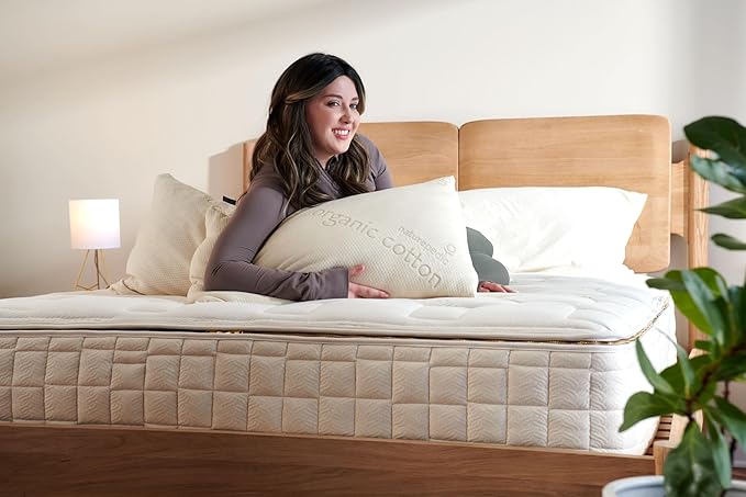 Naturepedic Organic Latex Pillow - Queen Bed Pillow with Soft Comfort - Luxury Pillow with Adjustable Fill for Comfortable Sleeping, Back Support and Neck Pain Relief