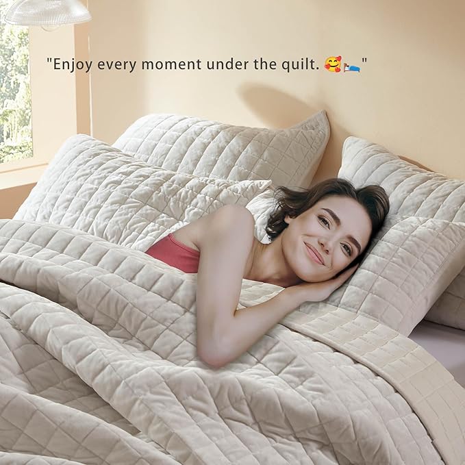 LEAONME Velvet Quilt Full/Queen Size-90''x98'', Lightweight White Velvet Comforter Set with 2 Pillow Shams, Soft Bedspread Coverlet Quilted Bedding Set for All Season