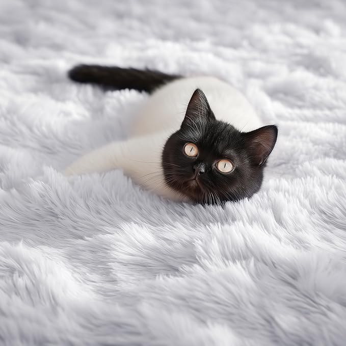 PAGISOFE White Fluffy Shag Area Rugs for Living Room 5x7, Soft Fuzzy Shaggy Rug for Bedroom Girls, Pastel Nursery Carpet Floor Room Dorm Rugs Boys Girls Plush Soft Kids Rug for Room Decor Aesthetic