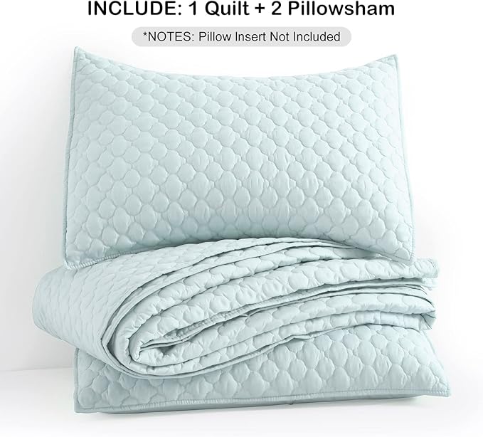 HORIMOTE HOME Quilt Queen Size Aqua Blue, Lightweight Quilt for Summer Ultra-Soft Microfiber Modern Style Quilted Clouds Pattern Bedspread Quit Set 3 Pieces