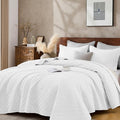 Queen Quilt Set with Shams Lightweight Quilted Bedspread Coverlet Thin Comforter Bed Cover Vintage Washed Quilted Blanket for All Season, Brushed Microfiber Diamond Stitching, White, 88"x92"
