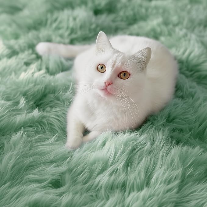 PAGISOFE Machine Washable Sage Green Rugs for Bedroom, 3x5 Ft Shaggy Rug Plush Fuzzy Carpet for Living Room, Fluffy Green Rugs Home Decor Aesthetic,Non-Slip Rug for Nursery Room Decor Girls Boy