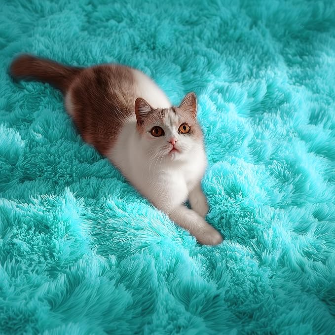 PAGISOFE Teal Rug Fluffy Shag Area Rugs for Bedroom Boys 5x7 Soft Fuzzy Shaggy Rugs for Living Room Nursery Carpet Indoor Floor Dorm Boys Girls Dorm Plush Kids Rug for Room Decor Aesthetic