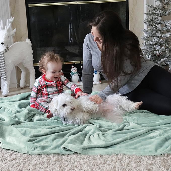 Bedsure GentleSoft Fleece Throw XL Blanket Sage Green - 300GSM Soft Lightweight Plush Cozy Blankets for Bed, Sofa, Couch, Travel, Camping, 50x70 inches