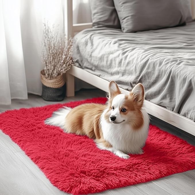 OLANLY 2x3 Machine Washable Small Bedside Rug, Soft Fluffy Shaggy Entryway Throw Rugs for Bedroom, Living Room, Indoor Floor Carpet for Kids Girls and Boys, Nursery Rooms, Home Decor Aesthetic, Red