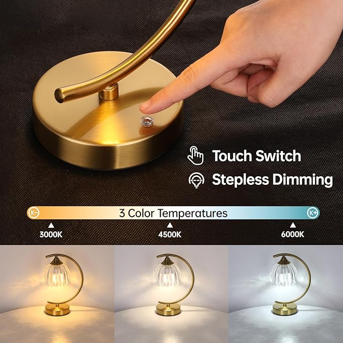 Tulip Table Lamp with 5200mAh Battery & Touch Control, Cordless Lamp with 3 Color Temperatures Clear Bulb, Rechargeable Small Table Lamps for Living Room, Bedside, Desk (Transparent Tulip)