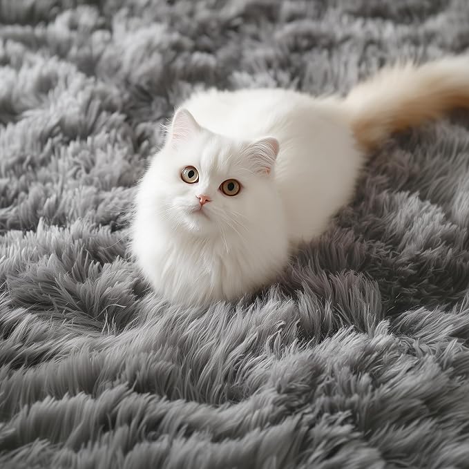 PAGISOFE Grey Fluffy Rugs for Bedroom 4x6 Area Rug Shag Rug for Kids Room Furry Carpet Modern Living Room Rug Soft Shaggy Boys Rug Fuzzy Throw Rugs for Home Decor Aesthetic, Dorm Nursery Gray