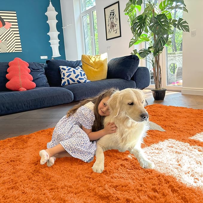OLANLY 3x5 Machine Washable Small Bedside Rug, Soft Fluffy Shaggy Rugs for Living Room, Bedroom, Indoor Floor Carpet for Kids Girls and Boys, Preppy Dorms, Nursery, Home Decor Aesthetic, Orange